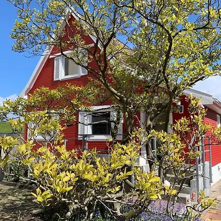 Neue Liebe Deichblick - #119504 Appartement Cuxhaven